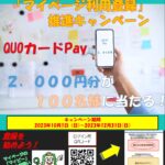 マイページキャンペーン用チラシ